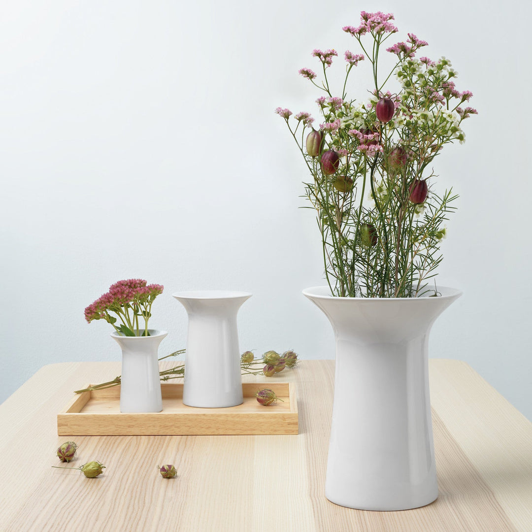 ASA Selection colori