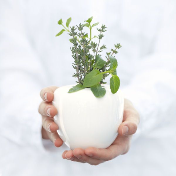 ASA Selection "à table" Vase