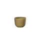 ASA Selection semana Becher 6,5cm mocha