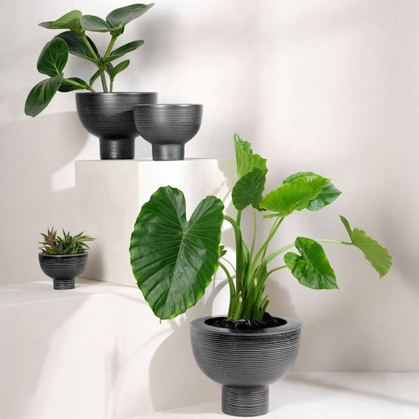 ASA Selection "midoro" Übertopf 10 cm black