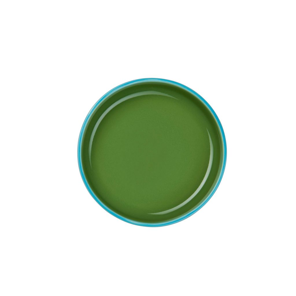 ASA Selection "tapero viva" Schale 14cm, verde